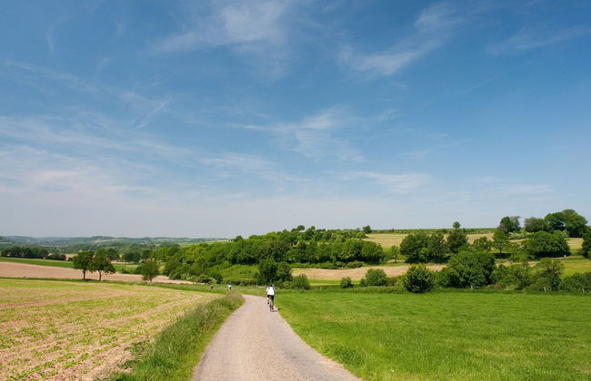 Holiday Home in Maastricht With Terrace - Photo 37