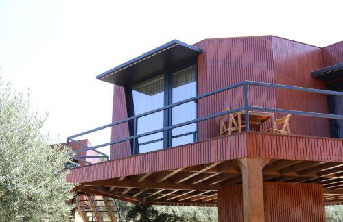 CÔA HONEYCOMB - Foto 1