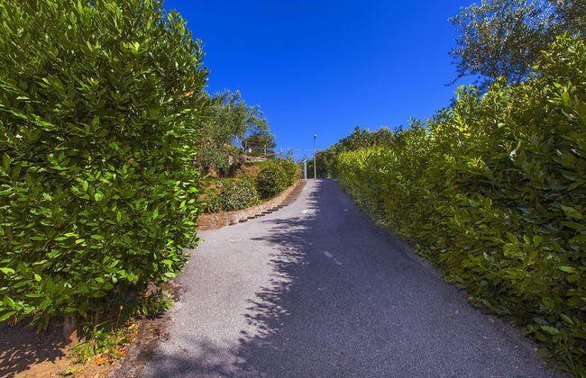 Villa Dei Galli - Foto 33