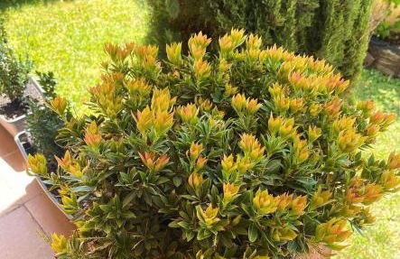 BenedettaMolinaseca VuT - Foto 55