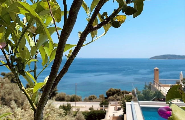 Golden King - Foto 65