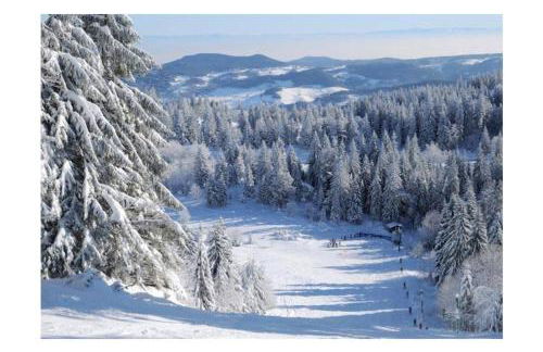 Le Physalis gîte tout confort - Foto 10