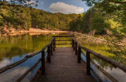 Art House Centro - Gargano - Foto 17