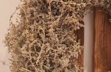 Seeberhof - Urlaub am Bauerhof - Foto 32