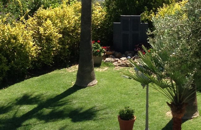 Andromia Studios - Foto 47