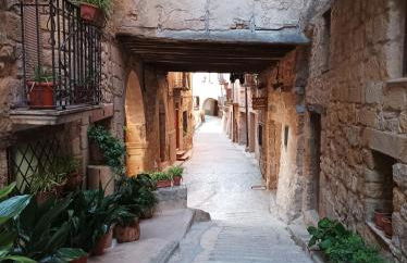 Els Ports d'Horta - Foto 38