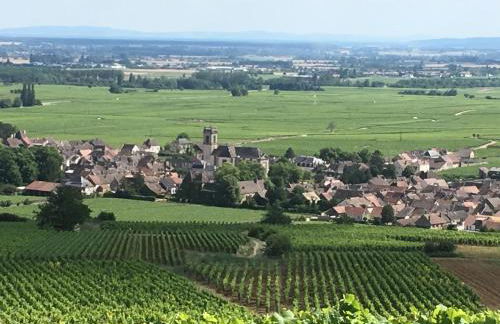 Coeur de Pommard - Foto 39