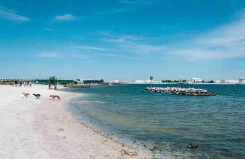 Charming Modern Valrico Getaway - Pets Welcome - Foto 13