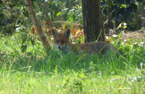 Dom Wakacyjny Kuszewo - Foto 32