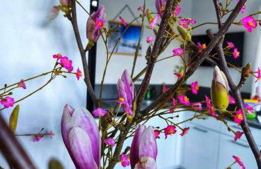 Dottie's Place - Foto 37