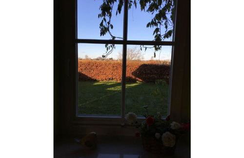 Ferienwohnung Nordglück - Foto 9