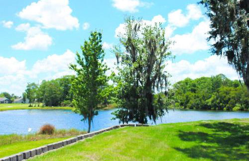 3 bedrooms pool home Gated community Ridgewood Lakes - Foto 42