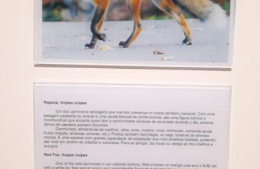 Casas da Serra - Soeima Housing - Foto 38