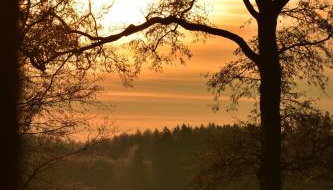 Siedlisko Szwałk - Foto 2