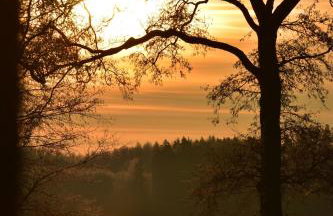 Siedlisko Szwałk - Foto 2