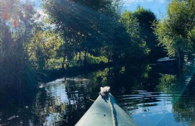 Le Cottage des Hortillonnages - Foto 12