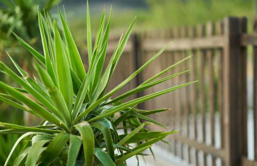 Villa Canela - Foto 75