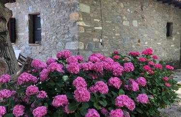 The Ambassador Residence - Traditional stone house - Foto 53