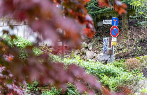 Ribeiro Cachoeira - Foto 27