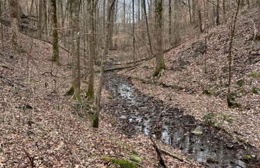 Turkey Creek Cabin Rentals #2 at Tims Ford lake - Foto 55