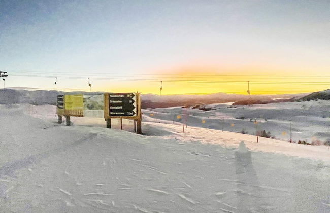 4 Person Holiday Home in Skulestadmo - Foto 15