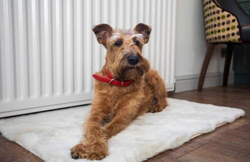 Luxury Warwick Townhouse I Walk to Castle I Dog friendly I Private patio garden I - Foto 15