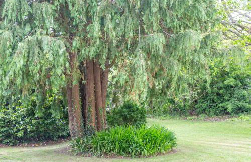 Maison Ty Mel à 3 km des plages - Photo 18