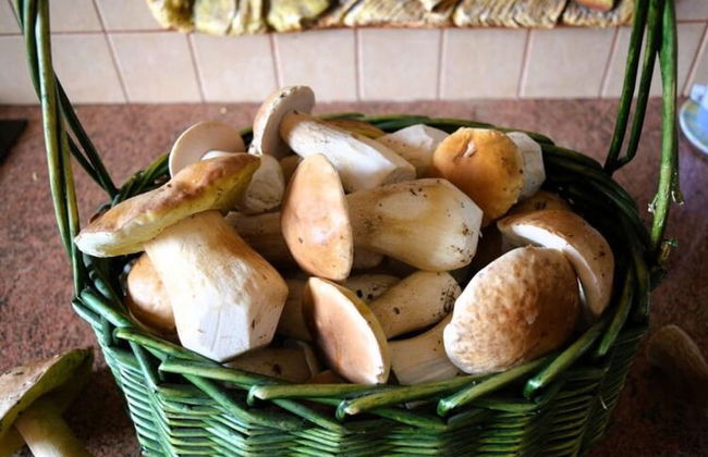 Large Holiday Home for Nature Lovers - Photo 18