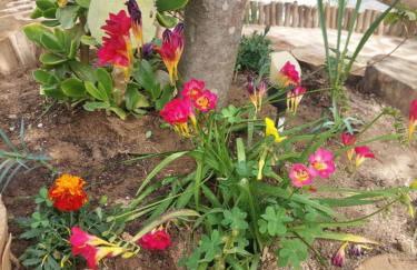 Bill's Garden Villa - Foto 22