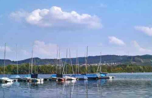 3 Zimmer Neubauwohnung in der schwäbischen Toskana - Foto 22