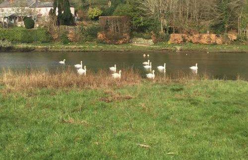 Jasmine Cottage - Foto 18