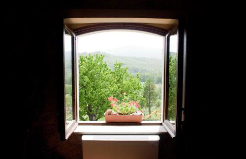 La Rosa Nel Bicchiere - Foto 37