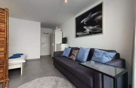 Beautiful Studio With Patio Carrapateira - Foto 4