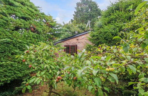 Coldharbour Farm Bungalow Annexe - Foto 23