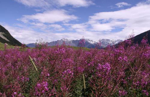 Residence Iris BeB - Foto 31