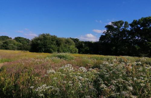 Martha's retreat - Photo 11