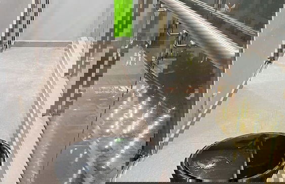 The Wellington-Republic Plaza Airport - Photo 54