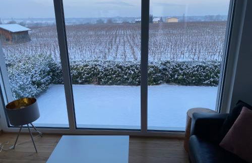 Ferienwohnen im Ziegelfeld - Foto 48