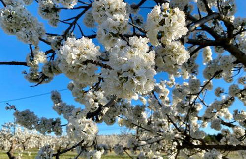 Maison de village, piscine, Colorado - Foto 28