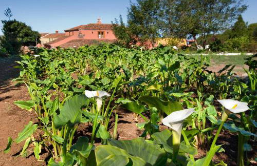 Casa Rural El Adelantado - Foto 31
