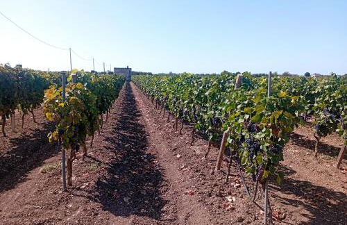 Casa vacanze Il Carrubo - Foto 5