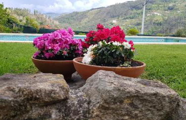 Douro Valley-Casa do Vimieiro - Foto 20