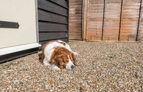 Abigail's Cottage, Wickham Market - Foto 31