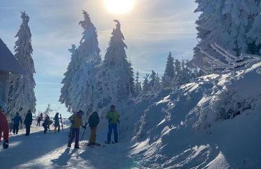 Polana Gorska Mirsk - Photo 24