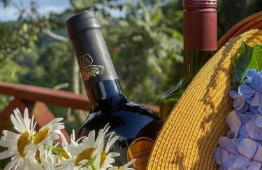 Cabana Alecrim da Serra - Foto 28