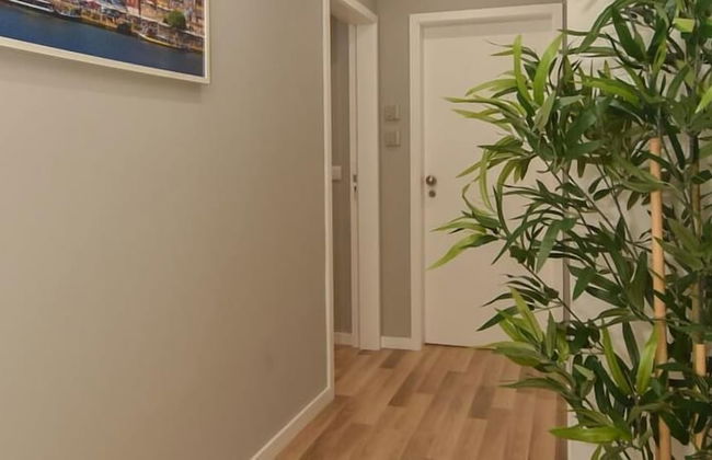 Oporto Bernardes Studios - Heroismo - Foto 25