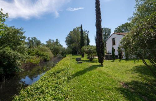 Mas des Eaux Claires Arles Camargue - Foto 8