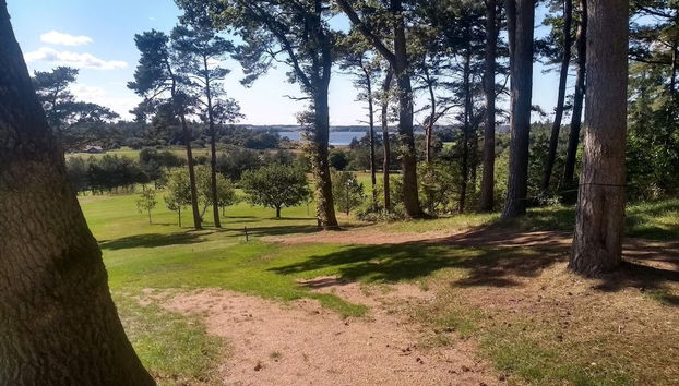 8 Person Holiday Home in Skals - Foto 5, Diversos