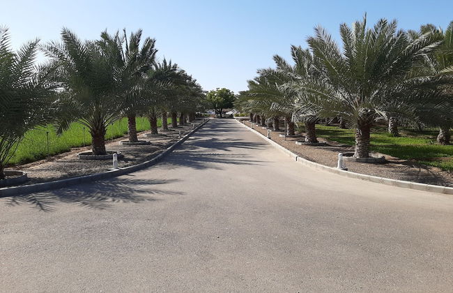 Asahalah Farm Villas - Photo 47