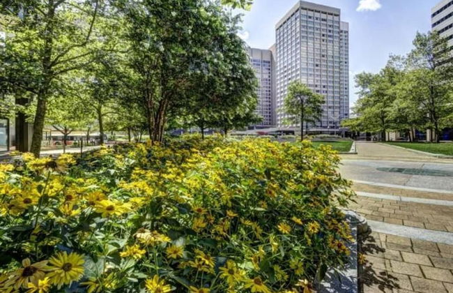 Baltimore executive Furnished rentals - Foto 42